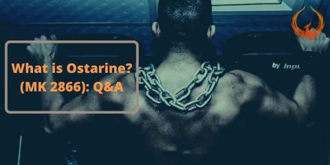 What is Ostarine (MK 2866) Q&A