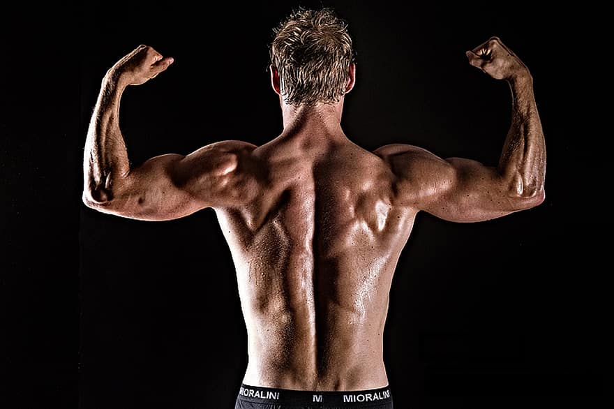 peptides for muscle gain