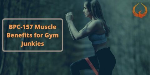 BPC-157 Gut Health and Muscle Benefits for Gym Junkies- Phoenix Gen SARMS Australia