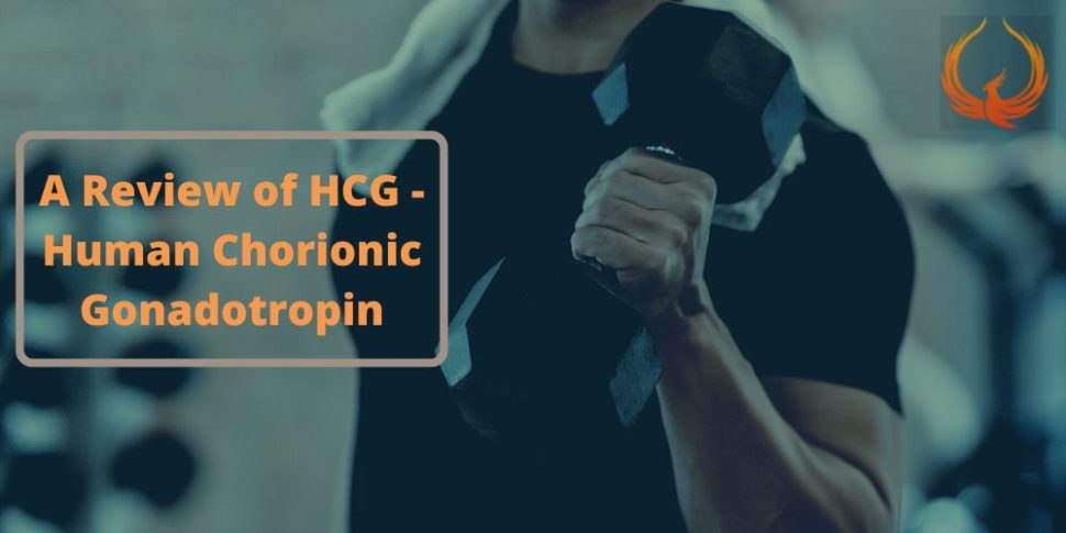 A Review of HCG - Human Chorionic Gonadotropin